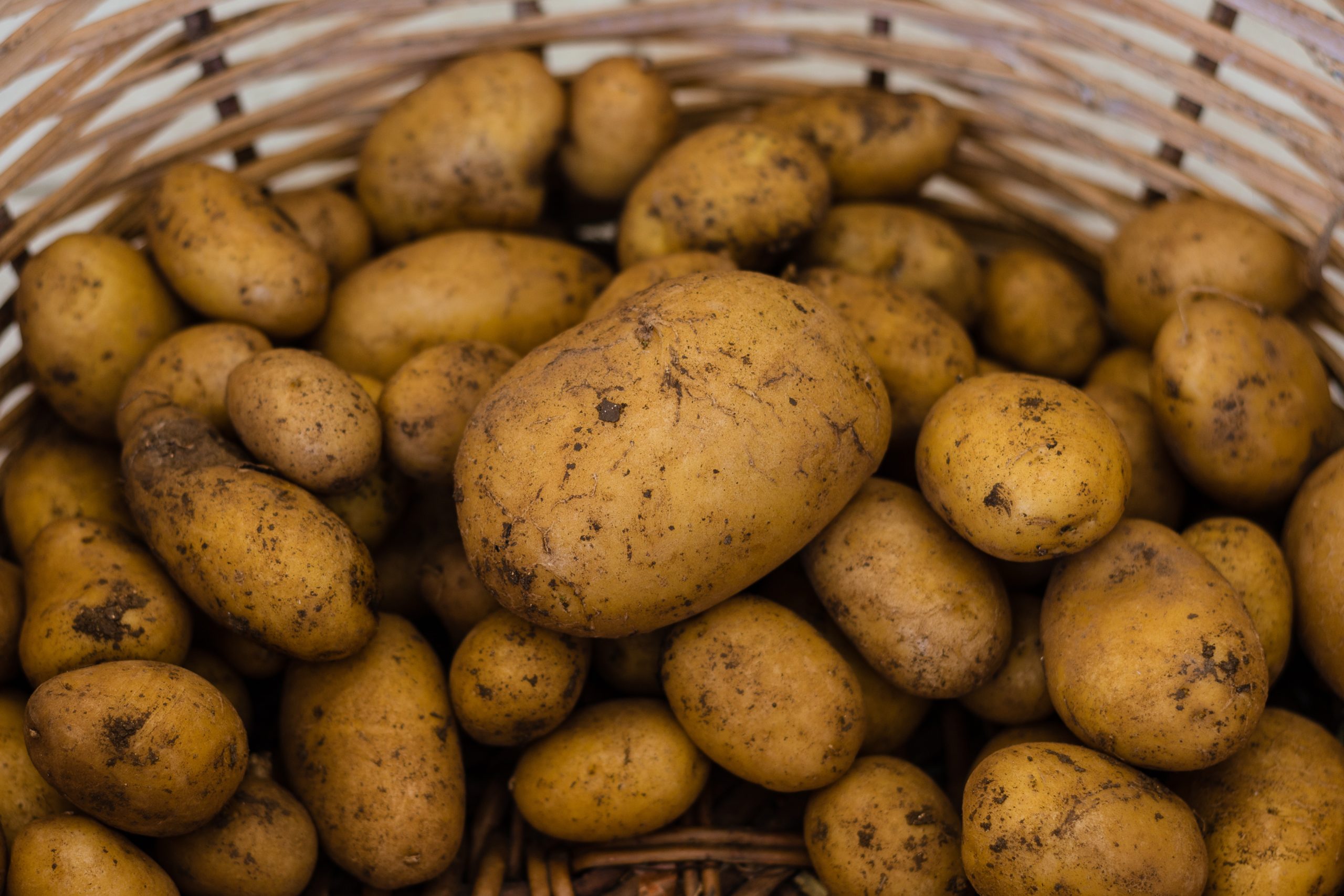 potatoes