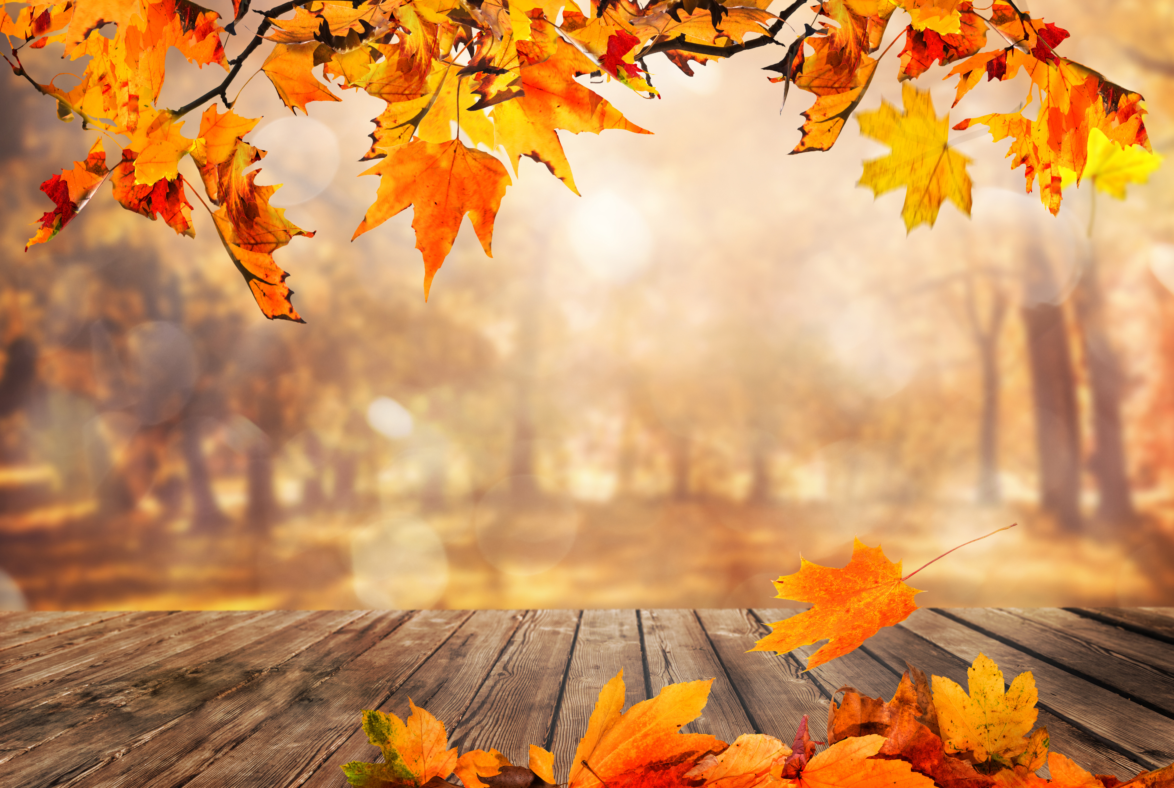 What does the Autumn Equinox Mean in 2020?, Lifestyle
