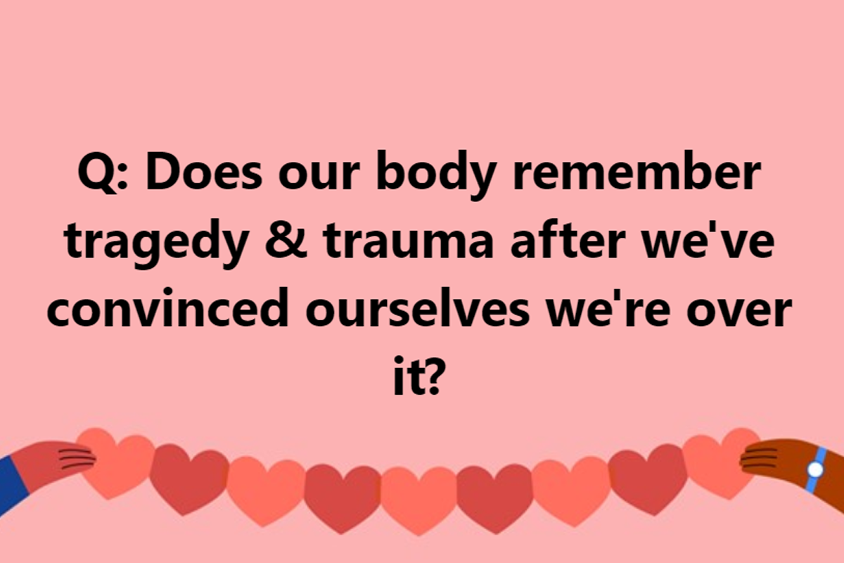 trauma, PTSD, mindset, mental health, Meredith Loughran, merej99